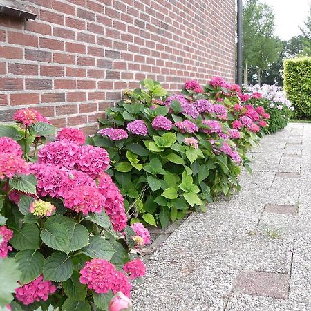 NoordbeemsterNicolaashoeve Beemster住宿加早餐旅馆 外观 照片
